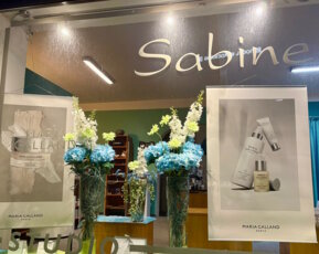 Schaufenster Frühling 2025